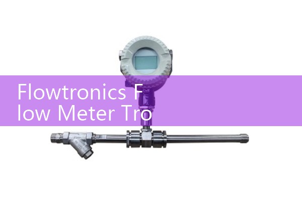Flowtronics Flow Meter Troubleshooting: Resolving Digital Signal Totalizer and Frequency Loop Faults